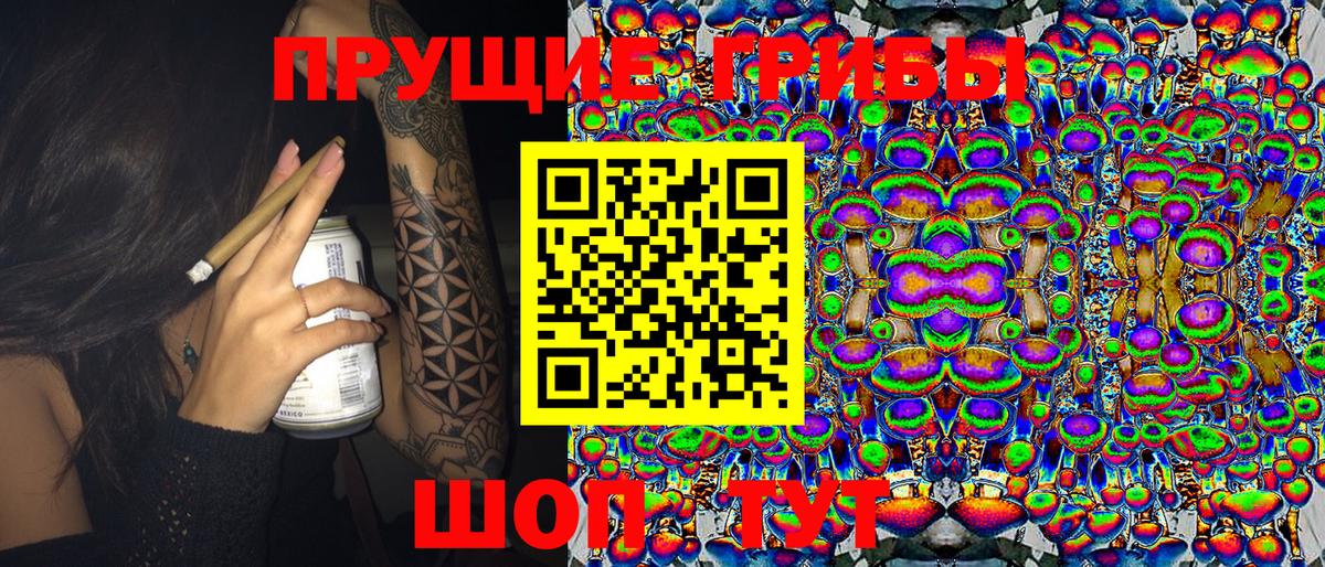 Псилоцибиновые грибы прущие грибы Самара