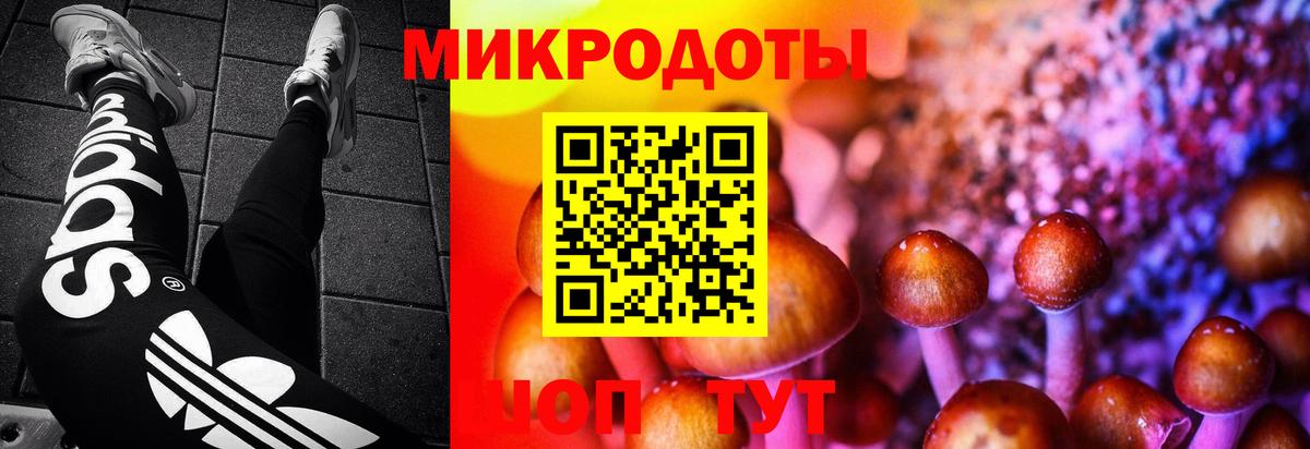 Псилоцибиновые грибы прущие грибы  Вход с VPN  Самара  дарнет шоп  Псилоцибиновые грибы MAGIC MUSHROOMS 